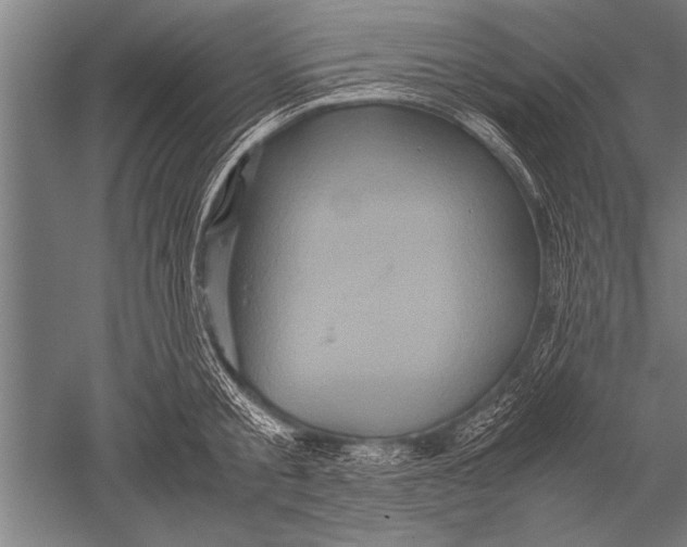 X0000051240805200507082123