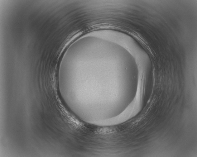 X0000051240806200507082123