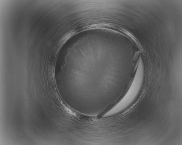 X0000051240809200507082122