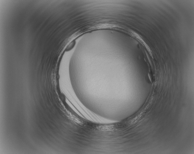 X0000051240810200507082122