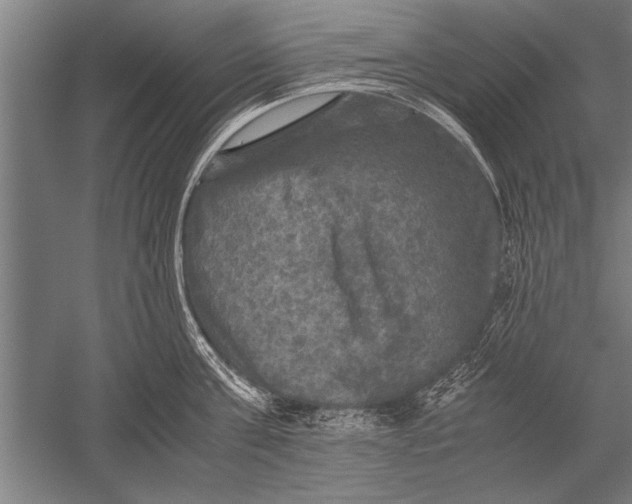 X0000051240811200507082122