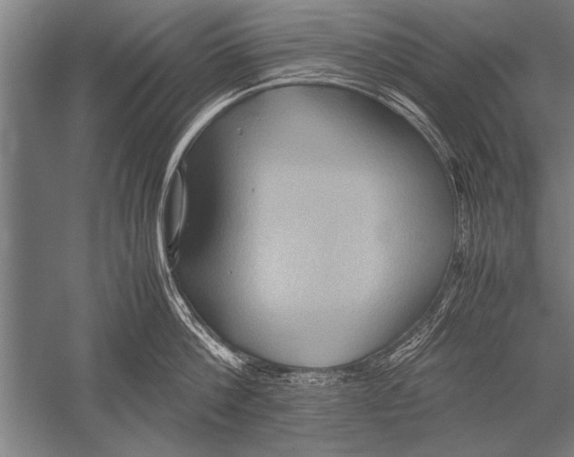 X0000051240812200507082122