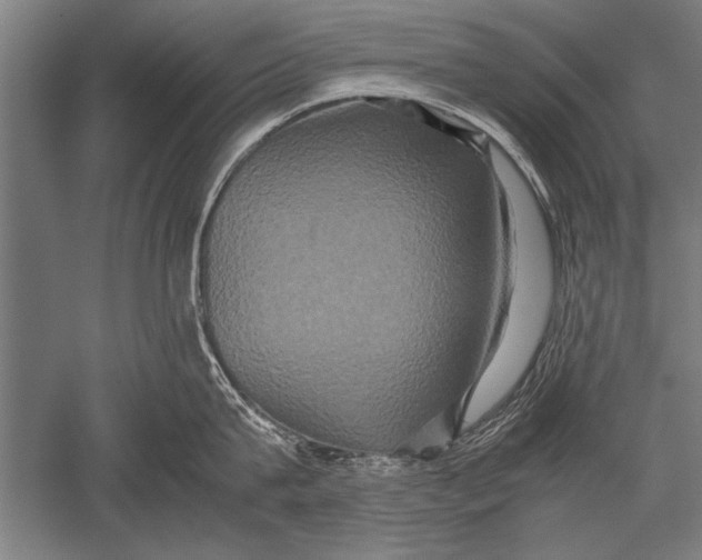 X0000051240815200507082122