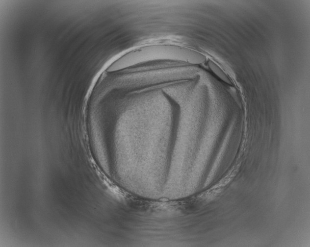 X0000051240816200507082122