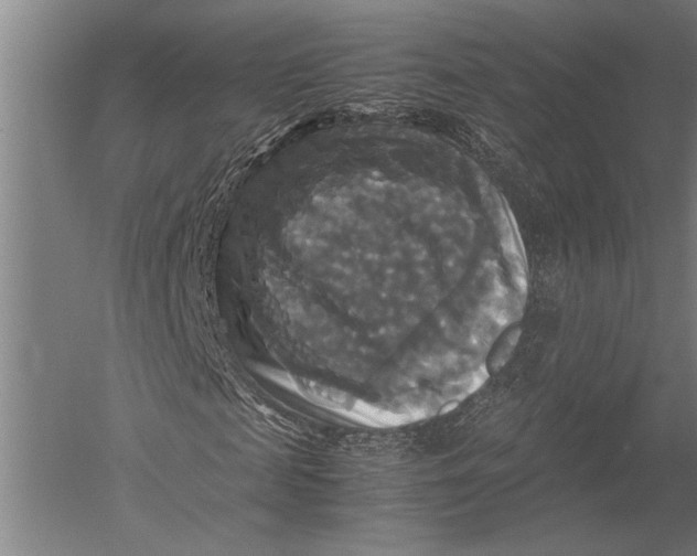 X0000051240817200507082122