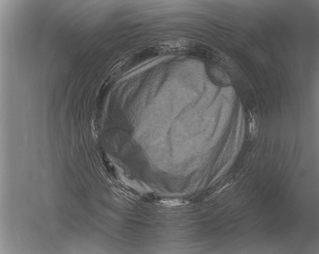 X0000051240819200507082122