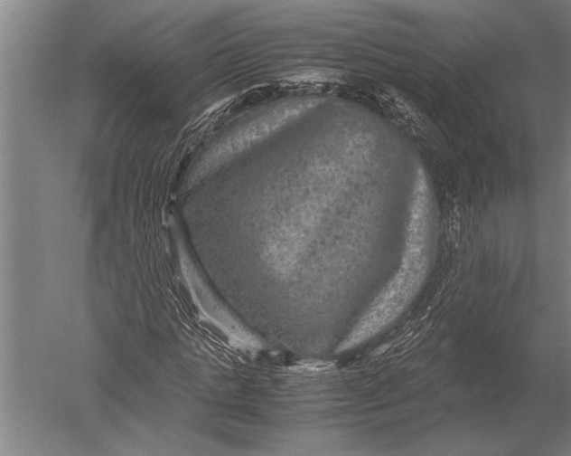 X0000051240821200507082122