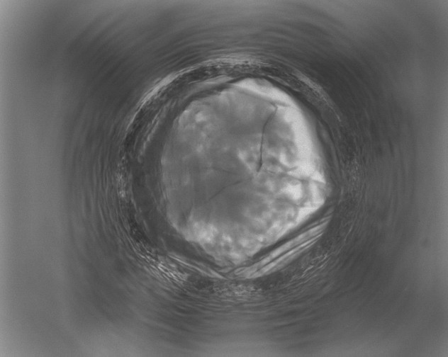 X0000051240823200507082122