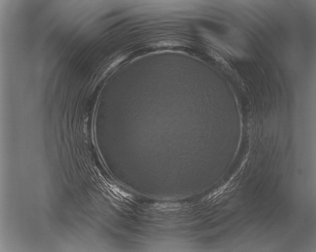 X0000051240825200507082122