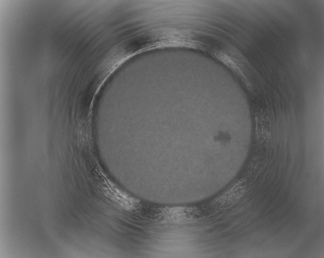 X0000051240828200507082122