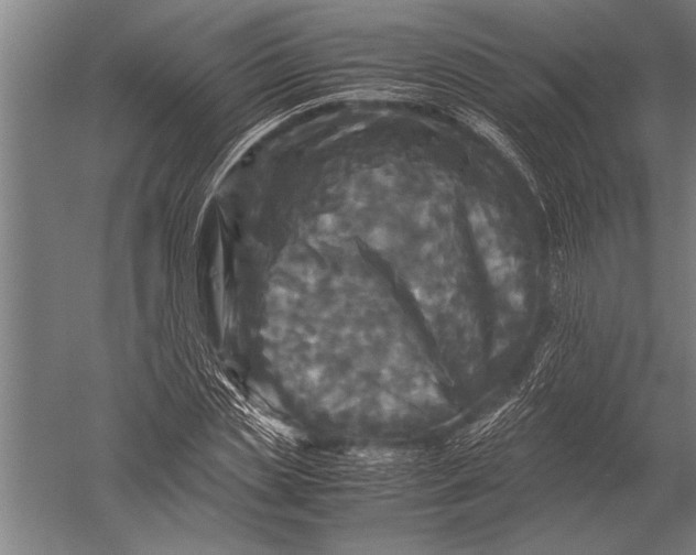 X0000051240829200507082122