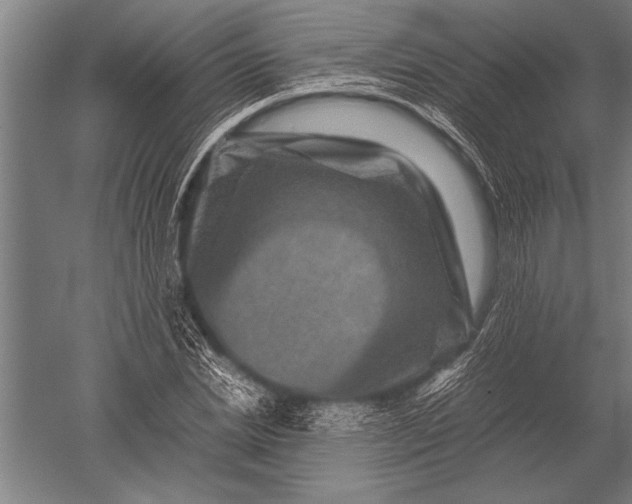 X0000051240830200507082122