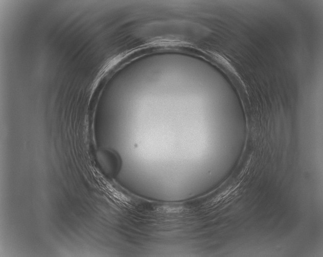 X0000051240831200507082122