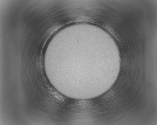 X0000051240832200507082122