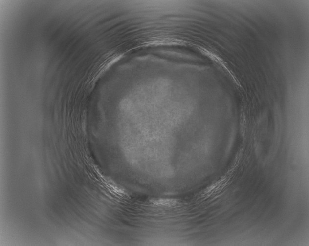 X0000051240833200507082122