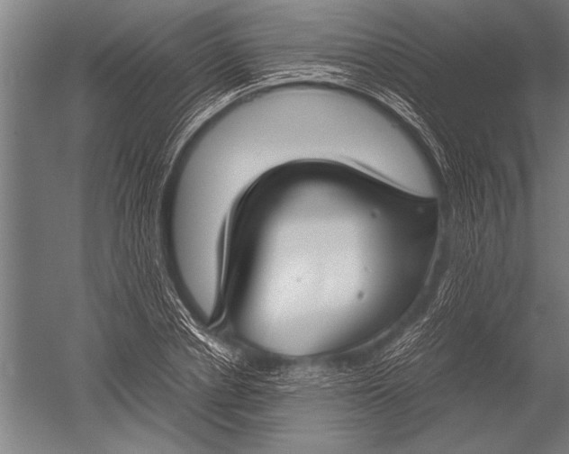 X0000051240834200507082122