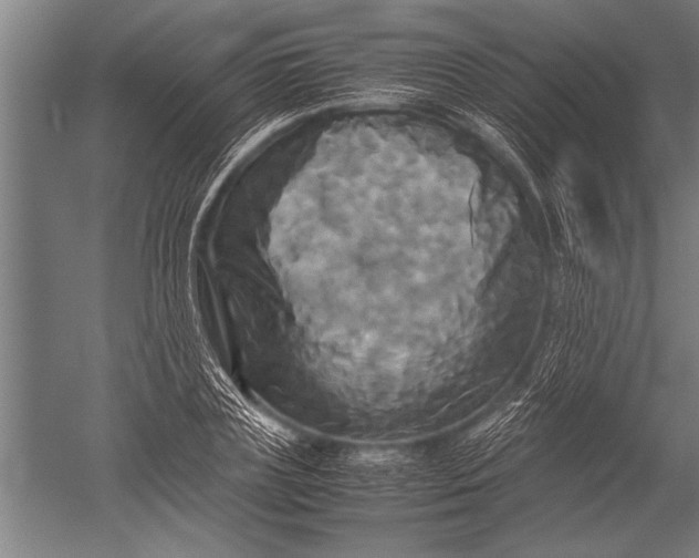 X0000051240835200507082122