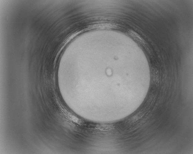 X0000051240836200507082122