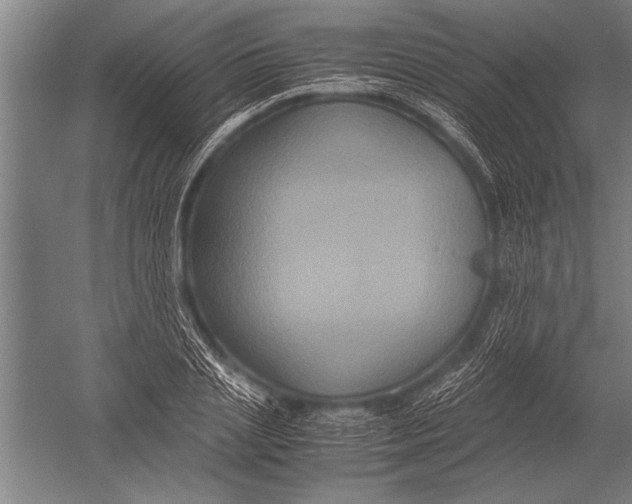 X0000051240837200507082122