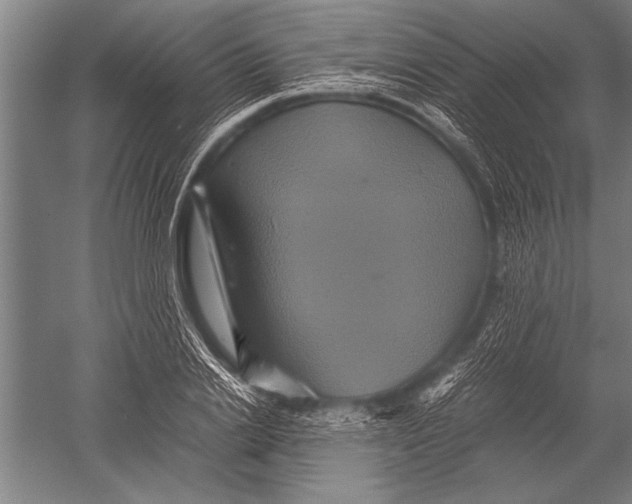 X0000051240838200507082122