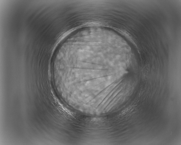 X0000051240839200507082122