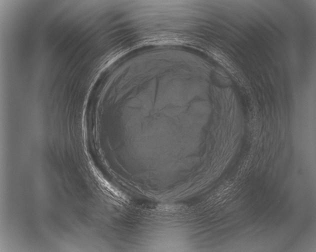 X0000051240840200507082122