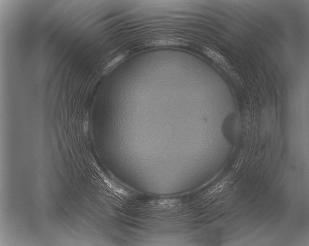 X0000051240841200507082122