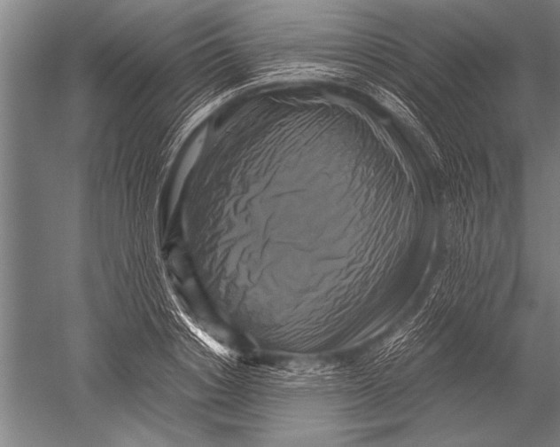 X0000051240842200507082122