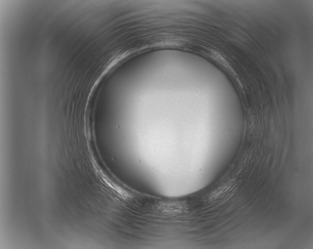 X0000051240843200507082122