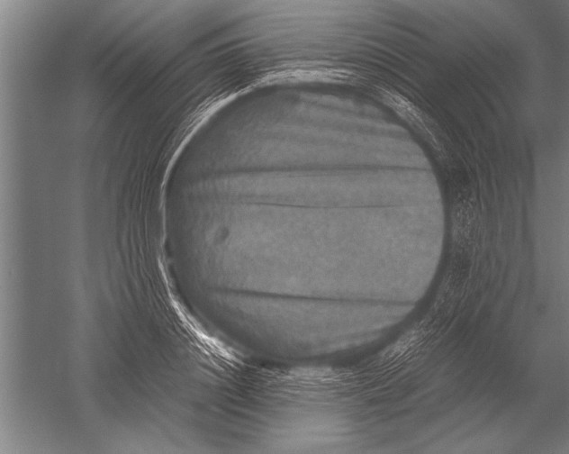 X0000051240844200507082122