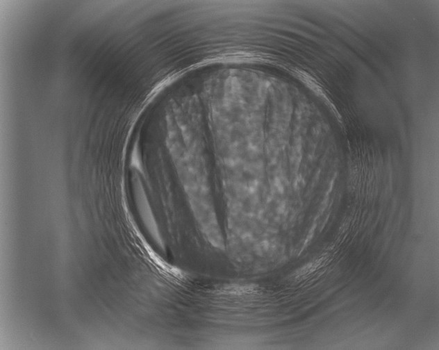 X0000051240845200507082122