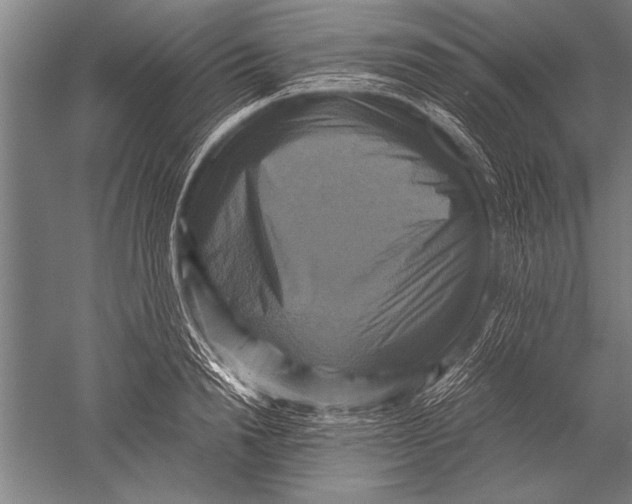 X0000051240846200507082122