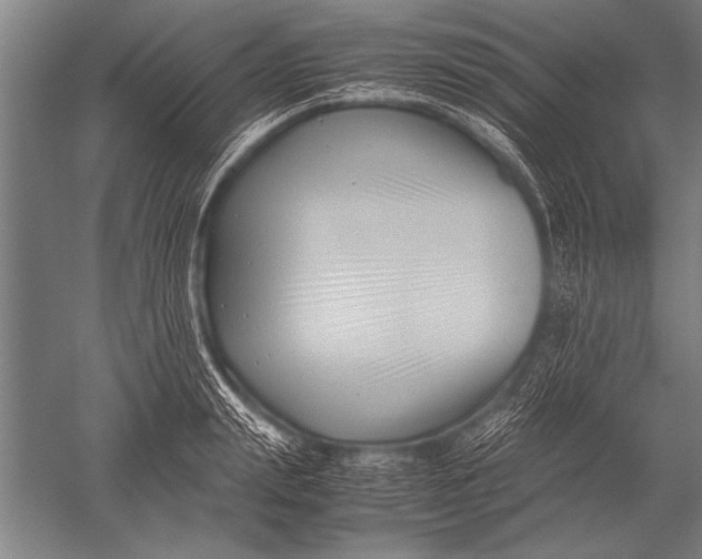 X0000051240847200507082122