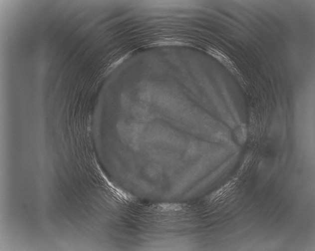 X0000051240849200507082122