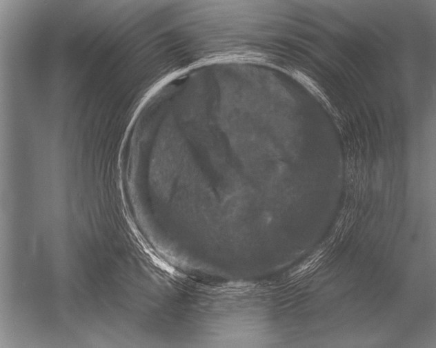 X0000051240854200507082122