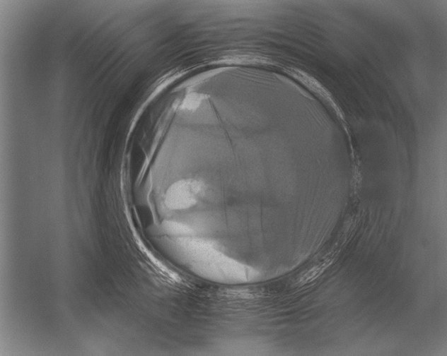 X0000051240855200507082122