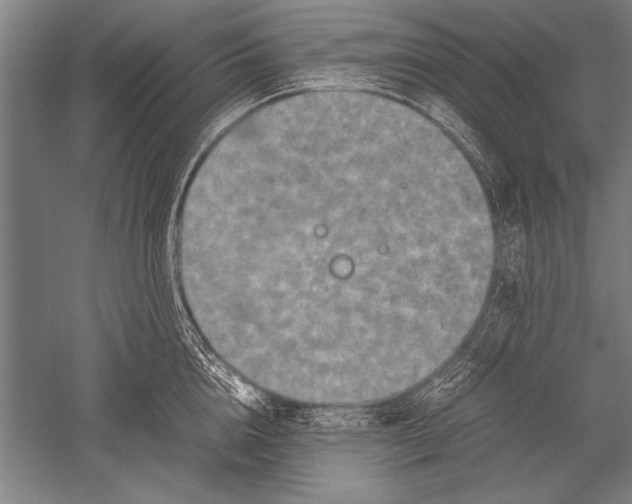 X0000051240856200507082122