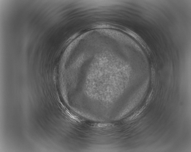 X0000051240857200507082122