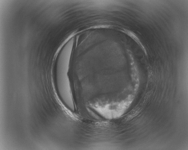 X0000051240859200507082122