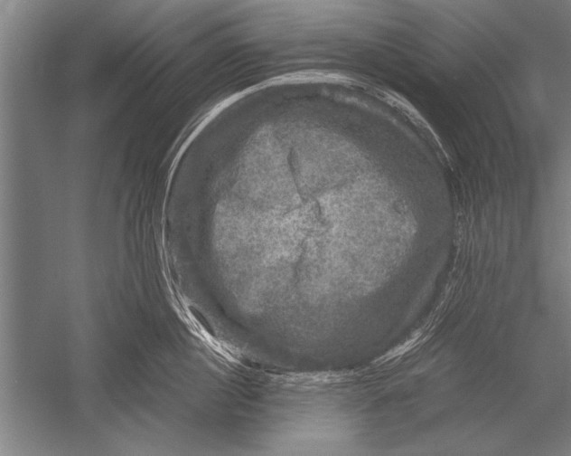 X0000051240860200507082122