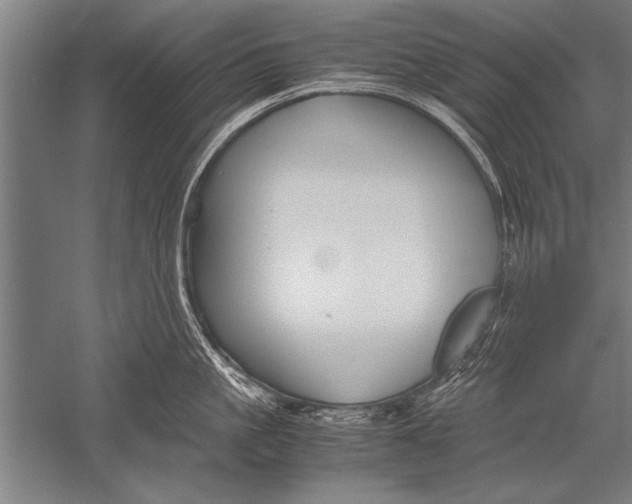 X0000051240861200507082122