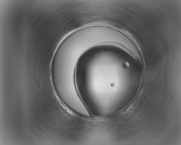 X0000051240862200507082122