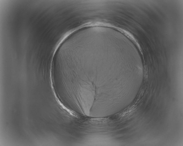 X0000051240863200507082122