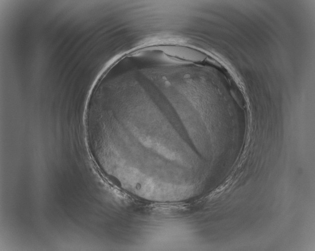 X0000051240864200507082122