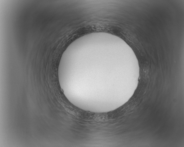 X0000051240865200507082121