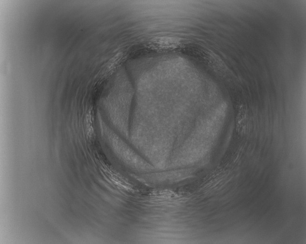 X0000051240866200507082121