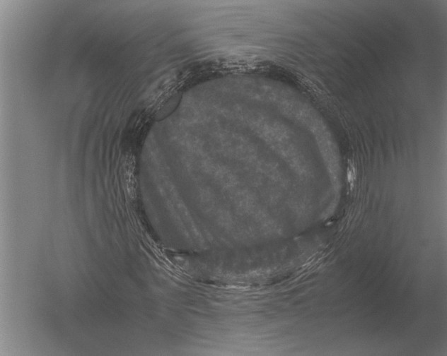 X0000051240867200507082121