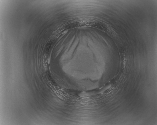 X0000051240868200507082121