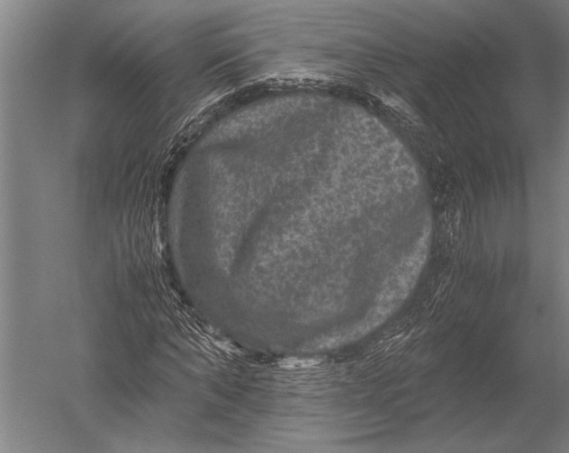 X0000051240870200507082121