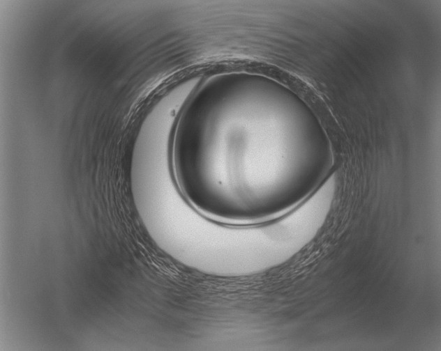 X0000051240871200507082121